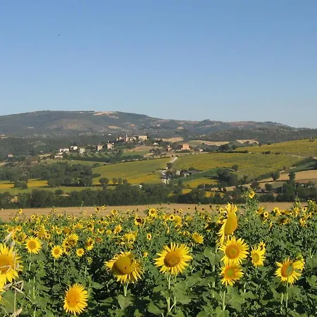 Villa Casale La Vigna *
